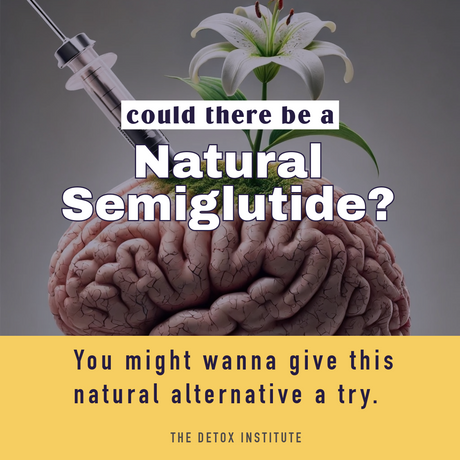 A natural Semiglutide alternative