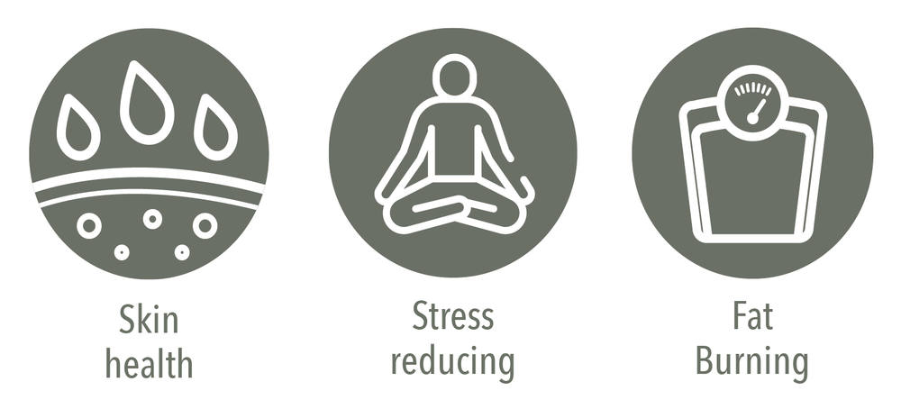 Our lattes promote optimal skin health, stress reduction and fat burning effects